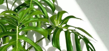 裝修工地篇 | 細(xì)節(jié)決定品質(zhì)，好家裝用工地說(shuō)話！