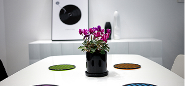 杭州裝修時候的半包、精裝、全屋裝都有什么區(qū)別？