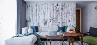 家里裝修主要顏色是白色的,軟裝家具如何搭配？