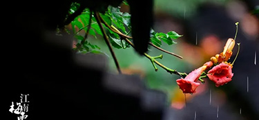 2022梅雨季正式開(kāi)啟！想要在今年實(shí)現(xiàn)拎包入住？還不快來(lái)看看梅雨季裝修注意事項(xiàng)！