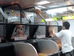 全銘亞運(yùn)，五一游園嗨翻天